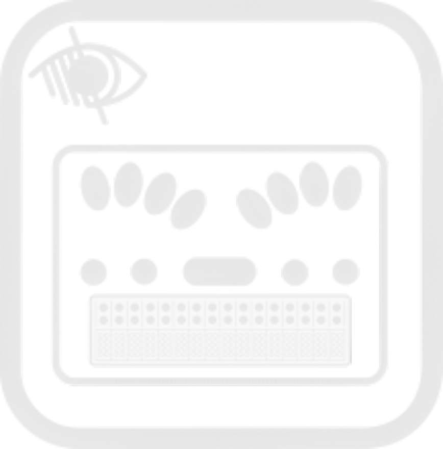 logo anotador braille